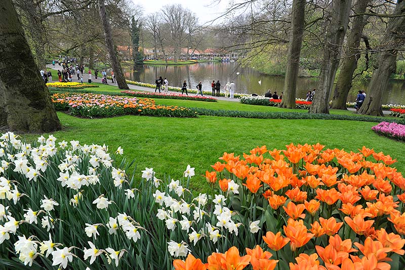 Keukenhof_37.jpg
