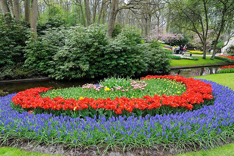 Keukenhof_39.jpg