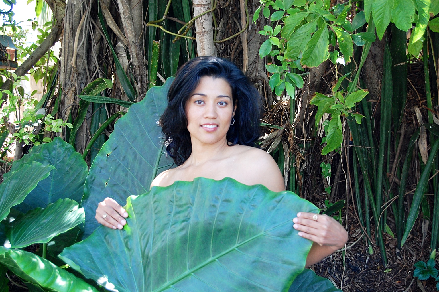 Behind Leaf