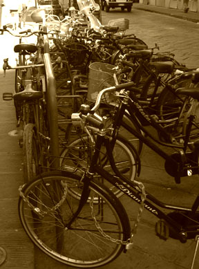 Bicycles everywhere!