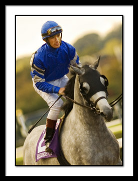B-STELLAR JAYNE, Lanfranco Dettori, Distaff_DSC0063EDIT.jpg