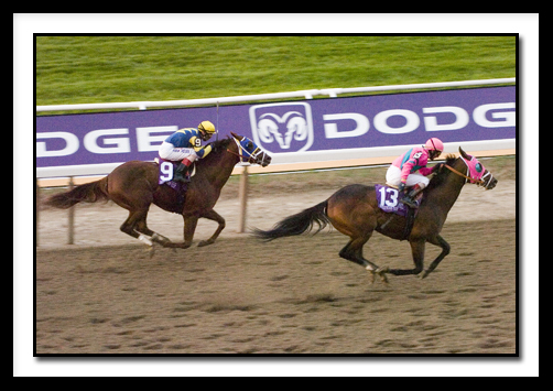 D-Saint Liam Wins _0309.jpg