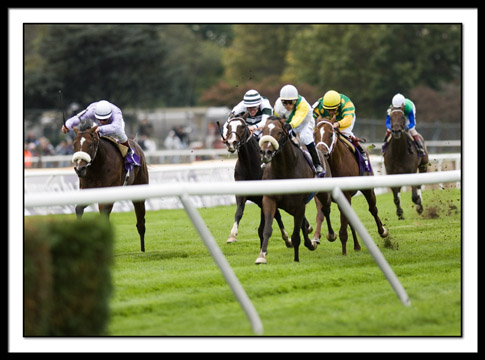 B-Mile_DSC0020EDIT.jpg