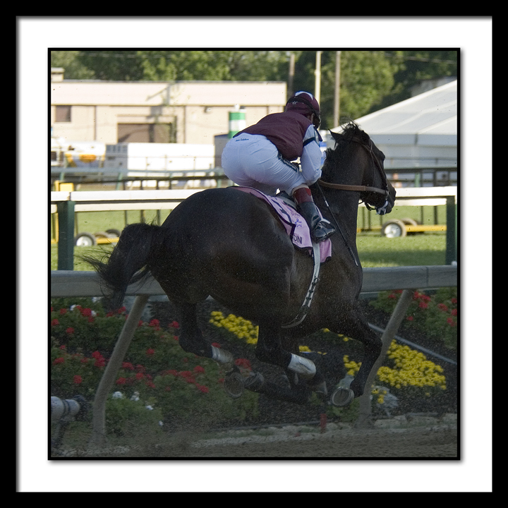 D-SC0183-Bernardini .jpg