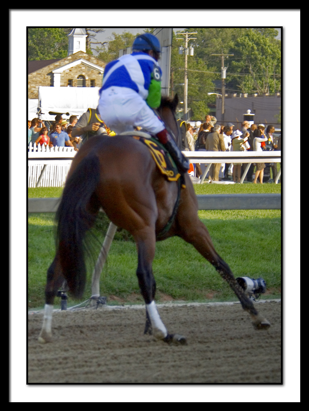 D-SC0185-Barbaro.jpg