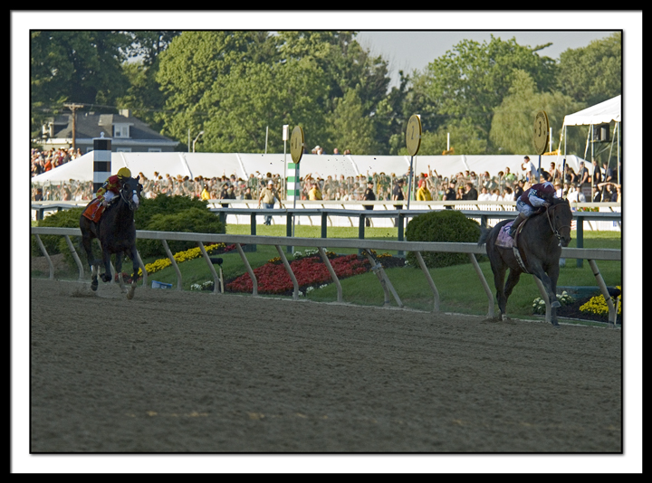 D-SC0201-Preakness.jpg