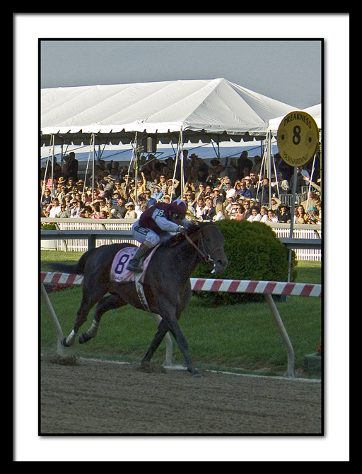 D-SC0202-Preakness-Bernardini.jpg