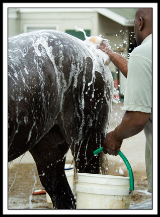 B-DSC_0036EDIT-soapy.jpg
