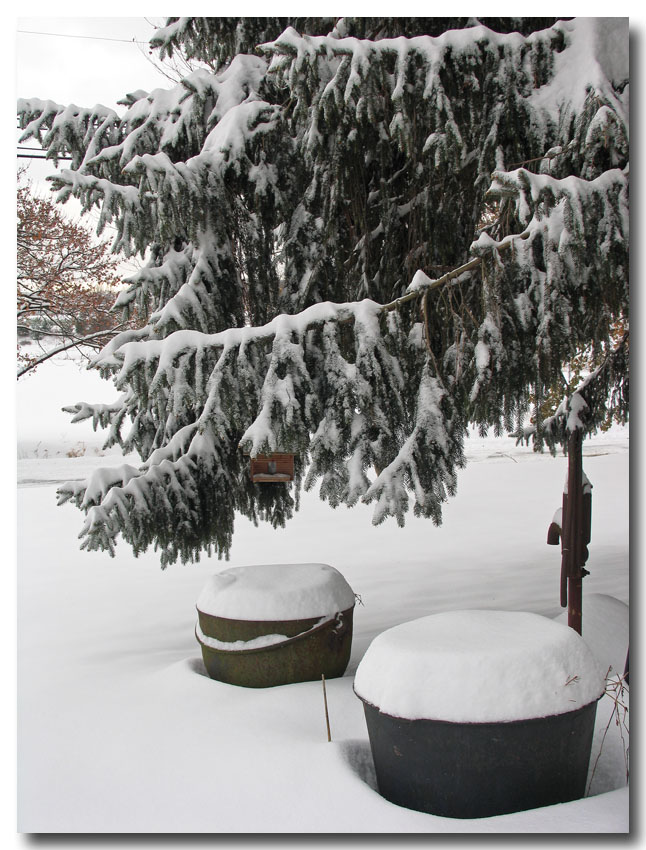 Wintery view