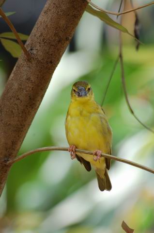 DSC_1492.JPG