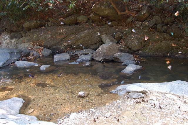 DSC_0099.JPG