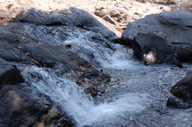 DSC_0108.JPG