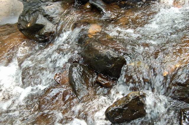 DSC_0127.JPG