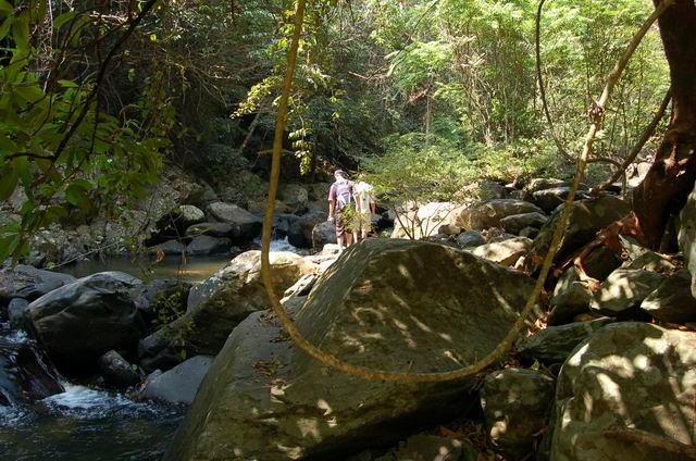 DSC_0186.JPG