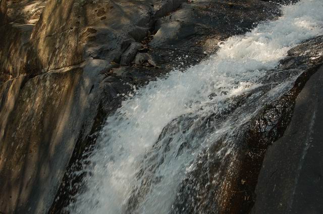 DSC_0224.JPG