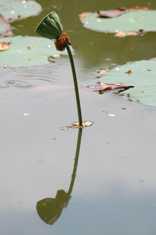 DSC_0632.JPG