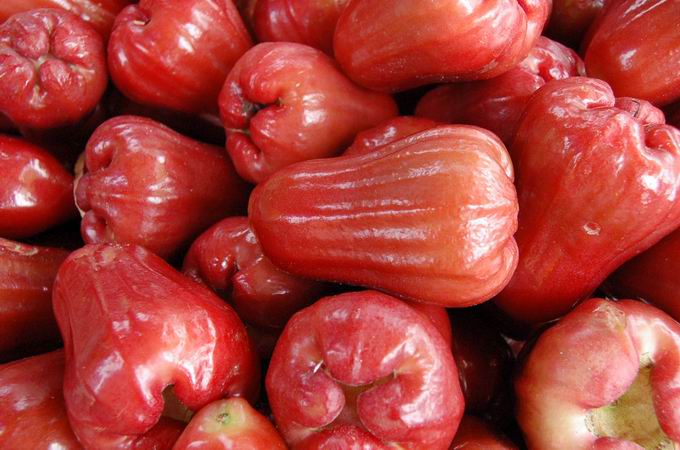 Jambu Air, watery guava