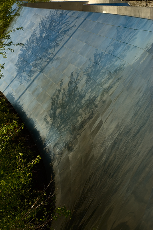 Trees on Bridge