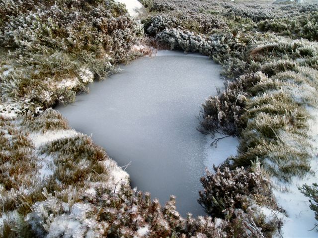 Frozen Tarn
