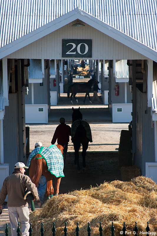 Back to the barns