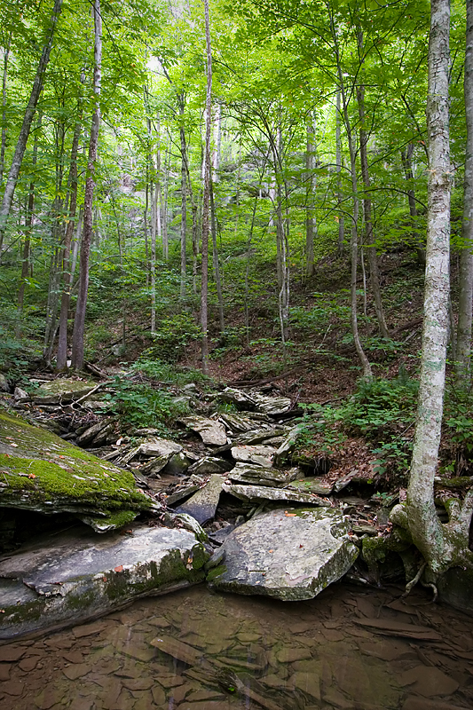 Rocky stream bed