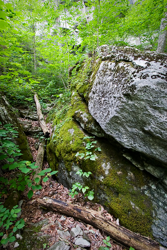 Gap in the rocks