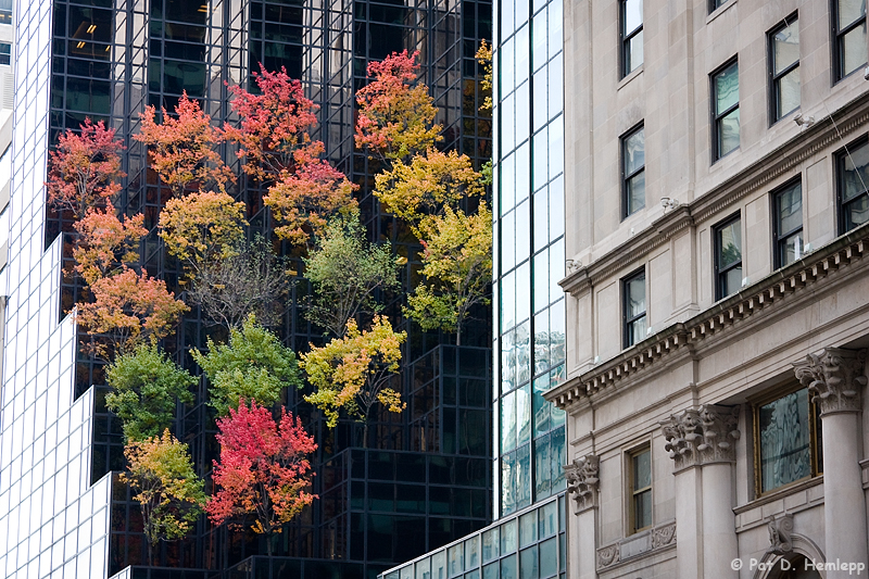 Autumn in NY