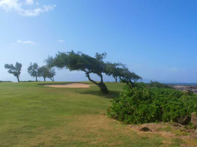 Jouer au golf