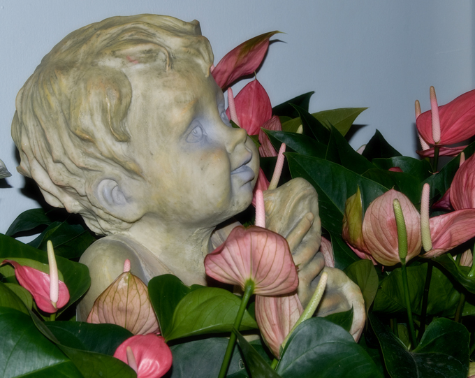 Flower Girl