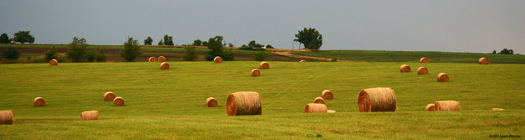 Hay Field (44025)