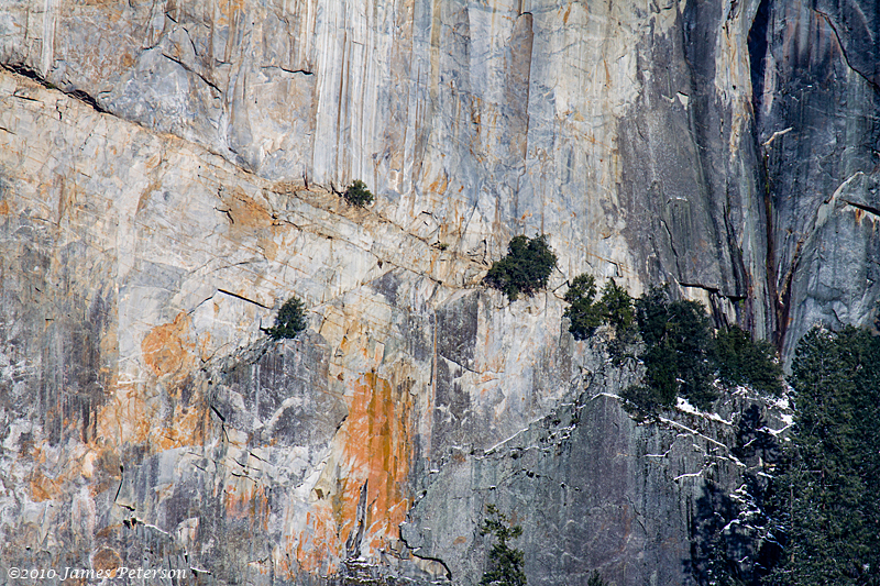 El Capitans' Sheer Face (7874)