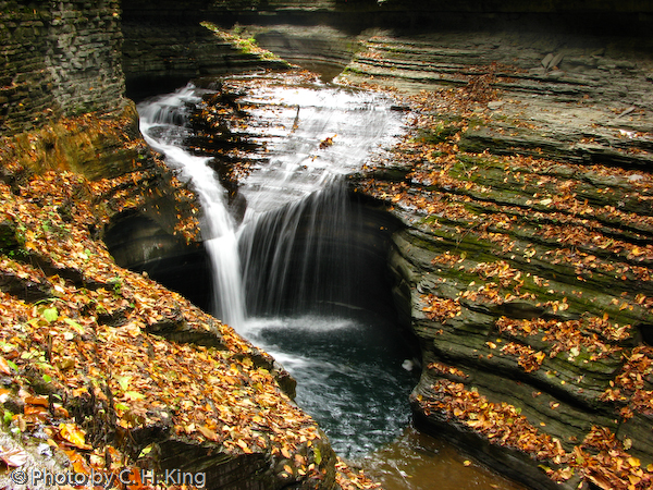 Glen of Pools Falls - Watkins Glen State Park