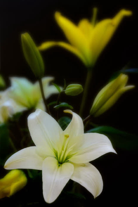 04/11/09 - Happy Easter