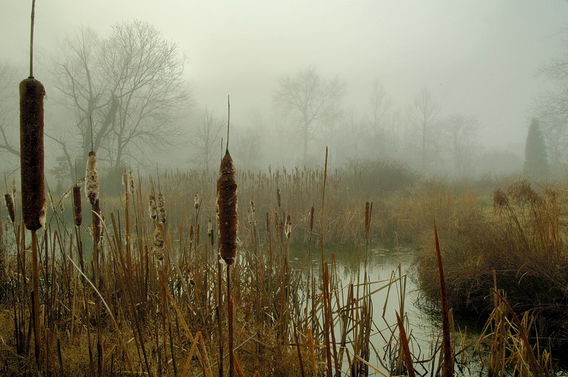 color - landscape 11