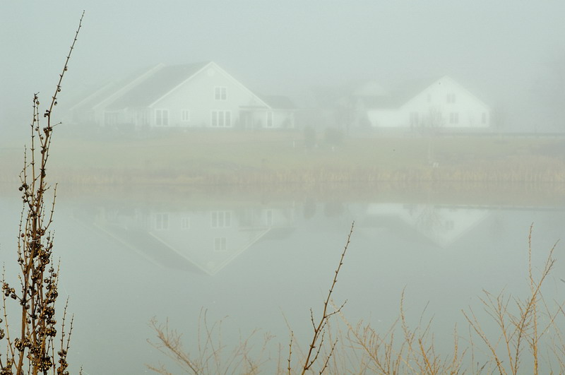 1/12/06 - Foggy Morn