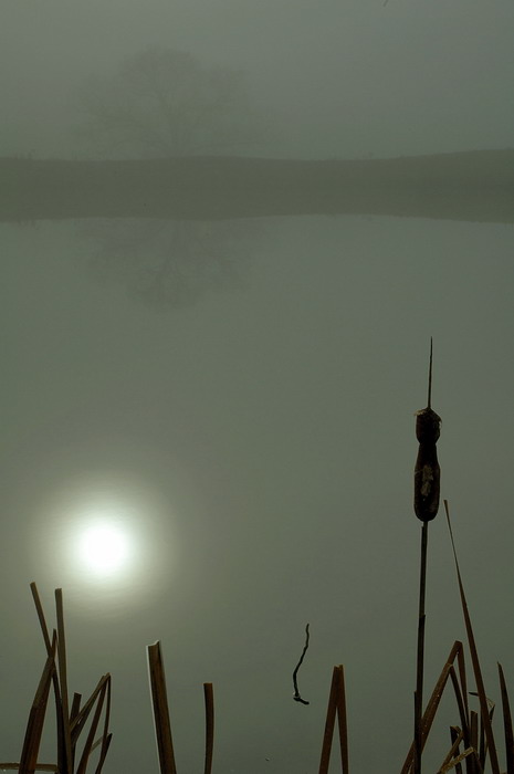 1/12/06 - Foggy Morn