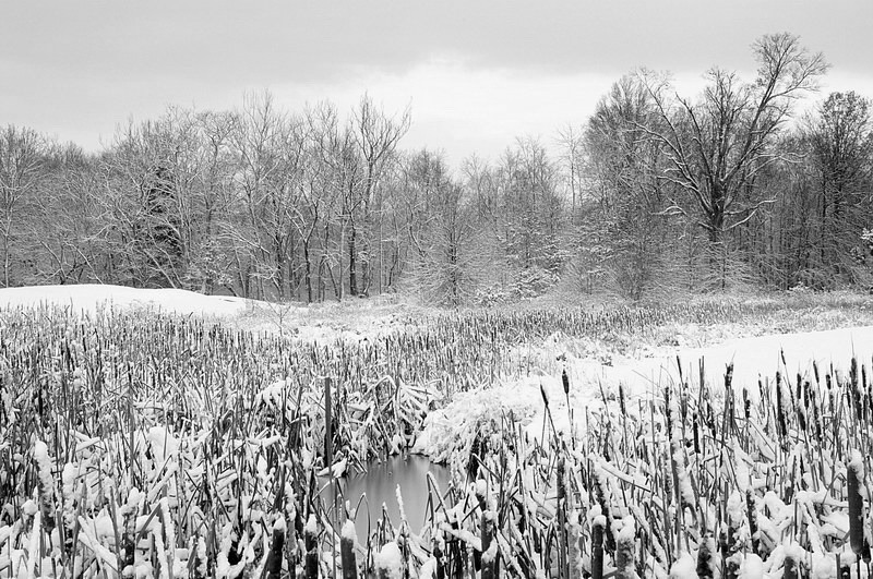 monochrome - 11