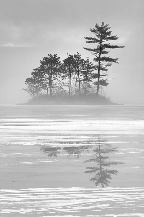 Misty Island