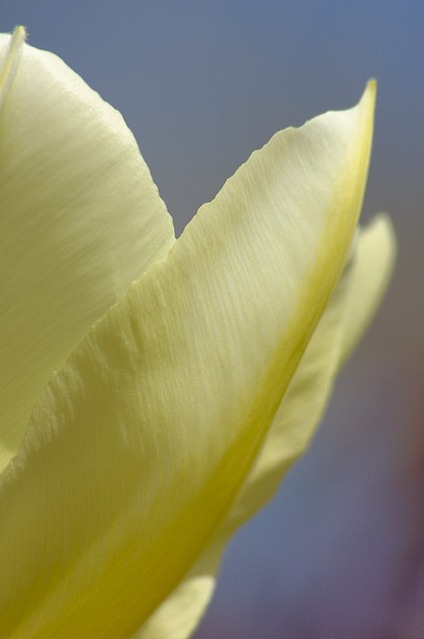 4/6/06