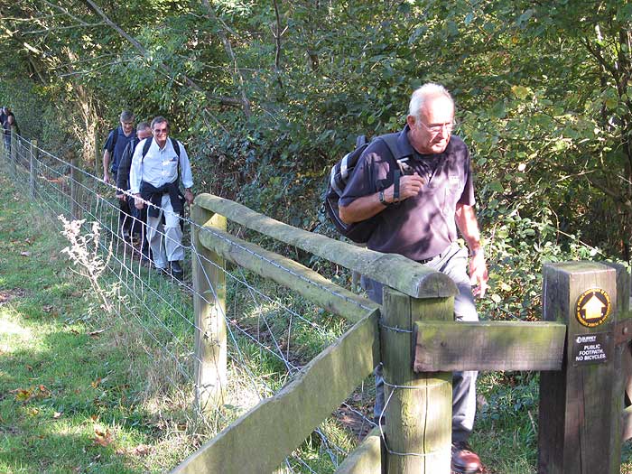 #18 dorking to holmwood