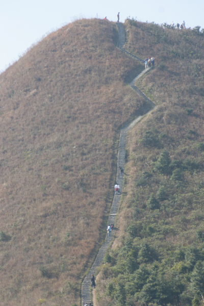 Up and up Shun Yeung Fung