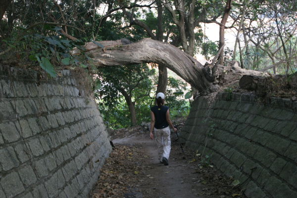 Joyce under branch near Luk Keng