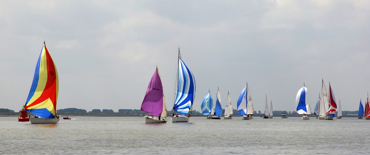 IMG_2658 2.JPG