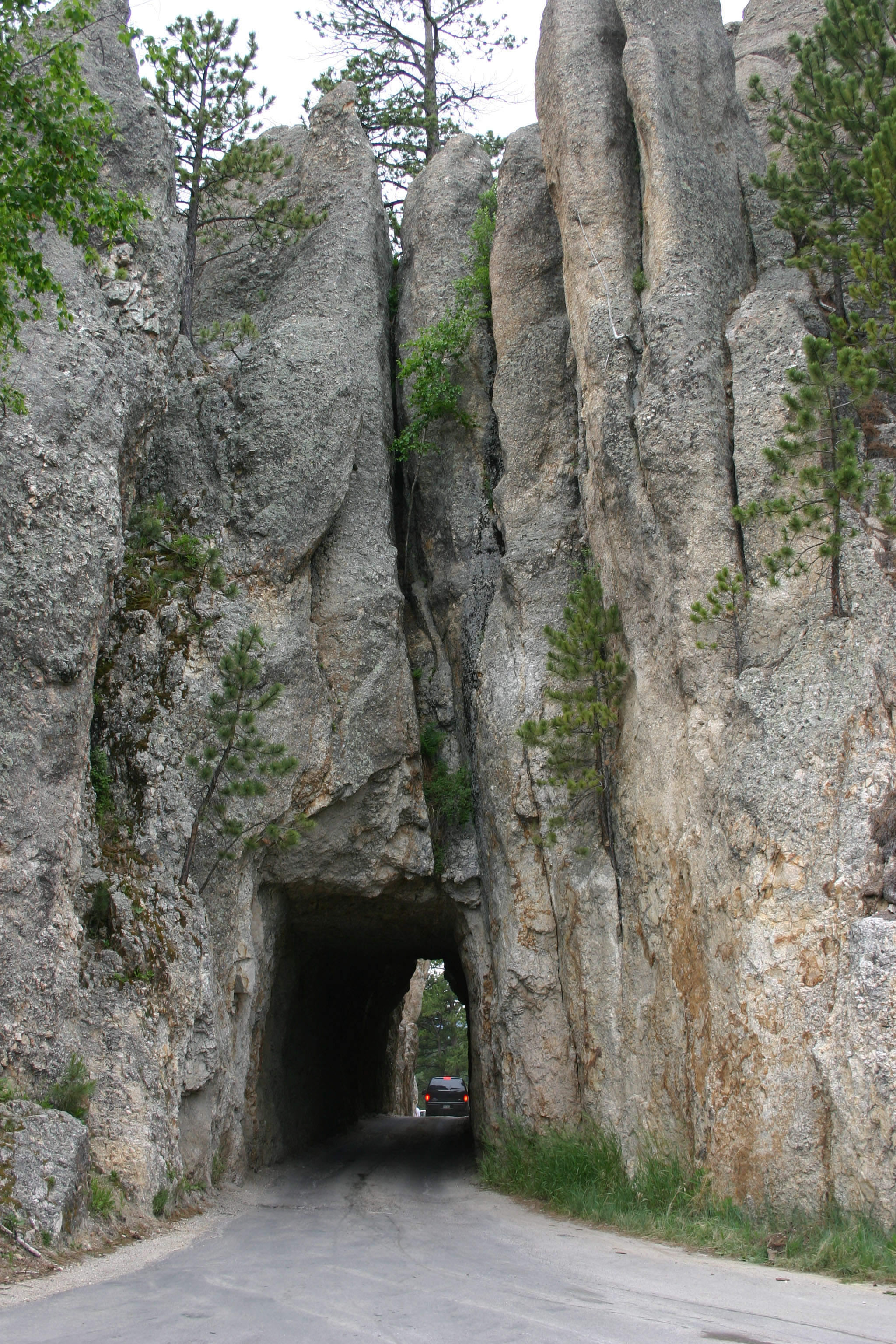 Needles Highway