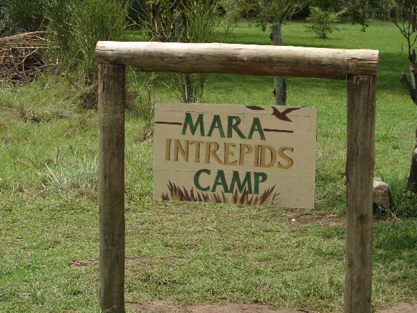 Our most luxurious camp