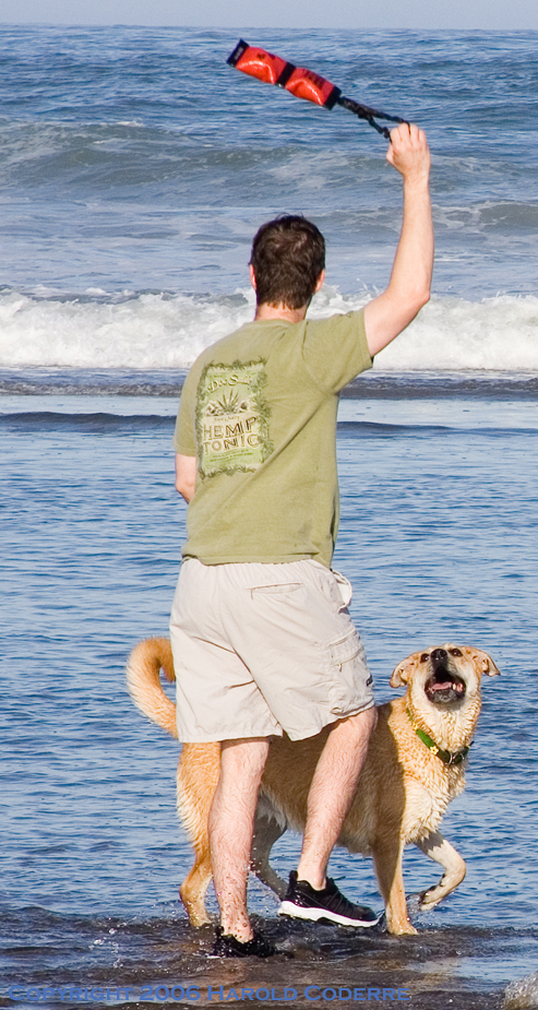Game of fetch [5049].jpg