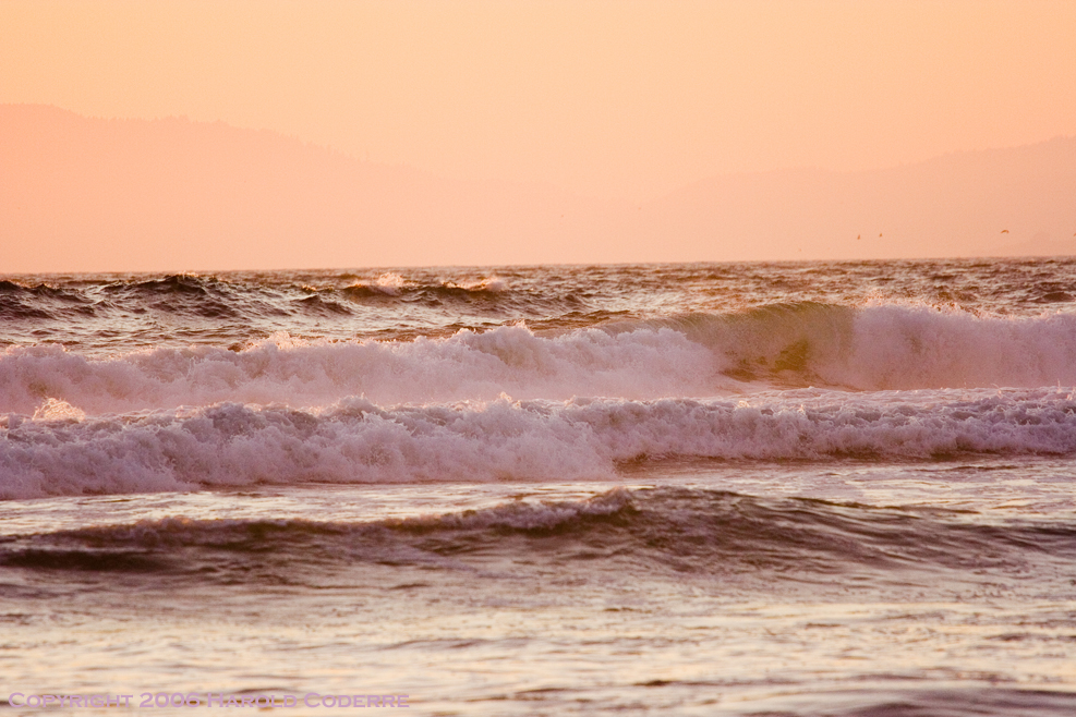 Pink surf [5307].jpg