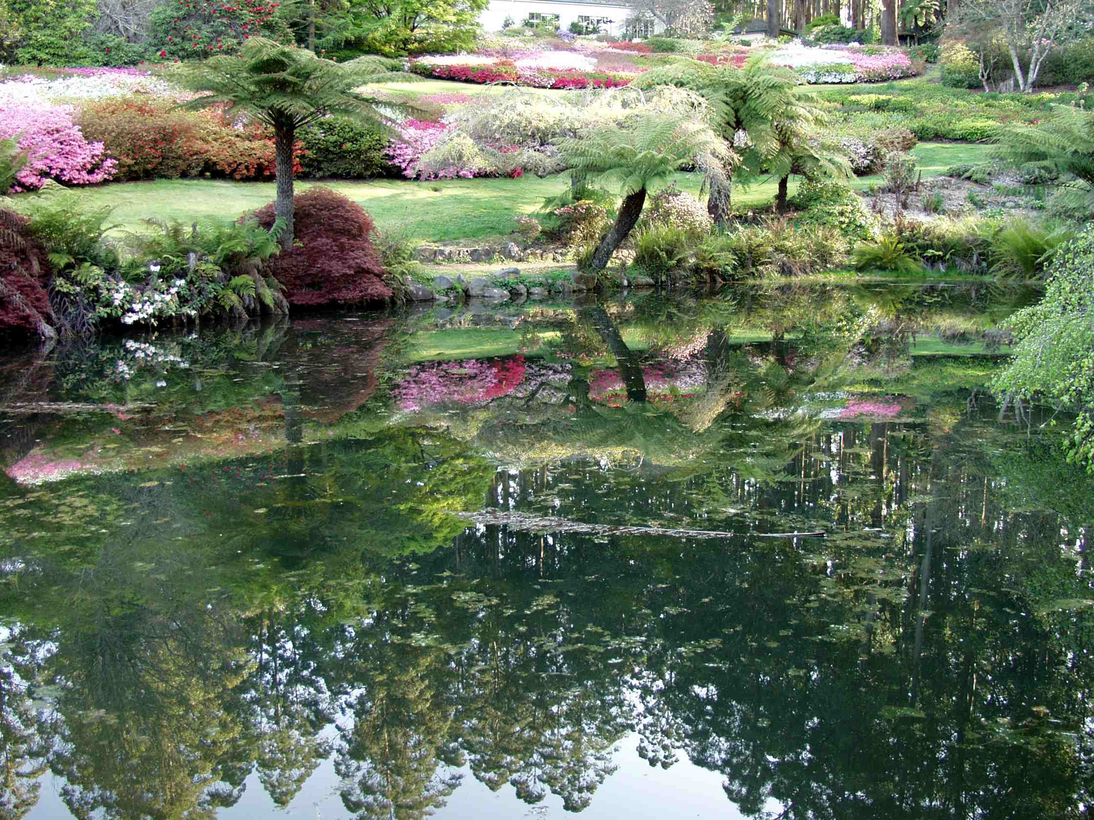 A Dreaming Place, Rhododendron Gardens