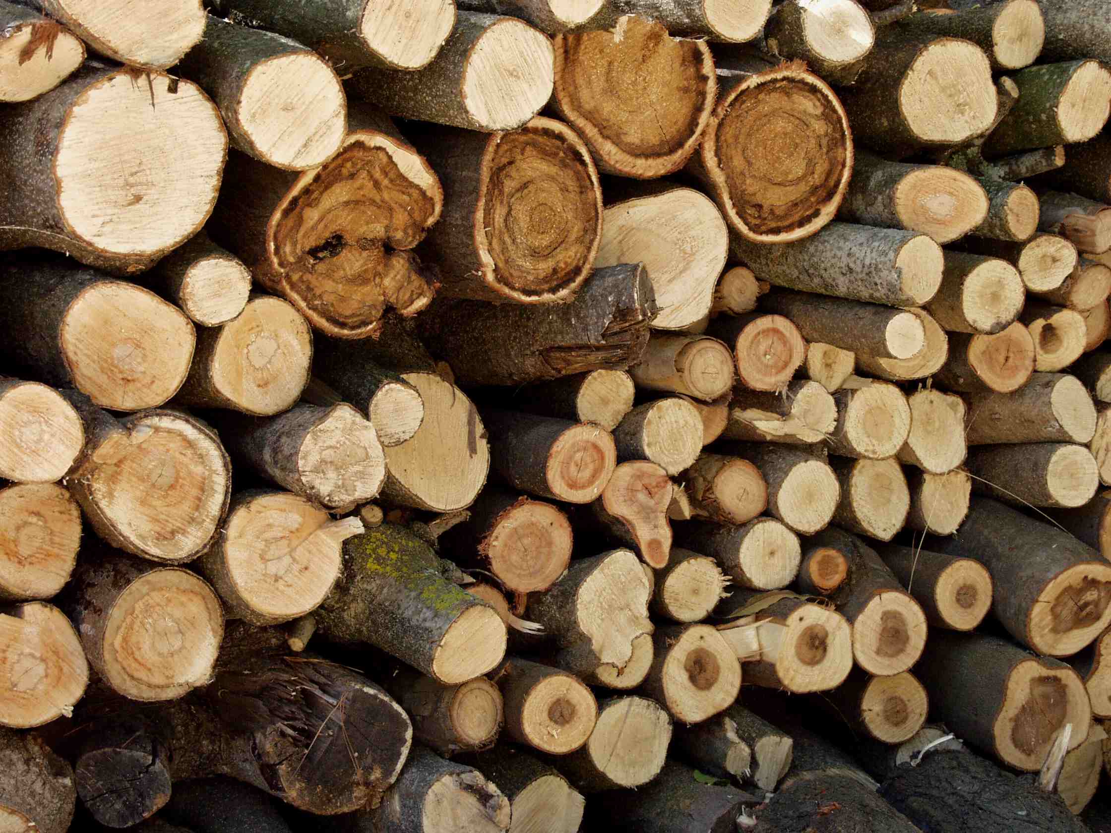 Stored For Winter