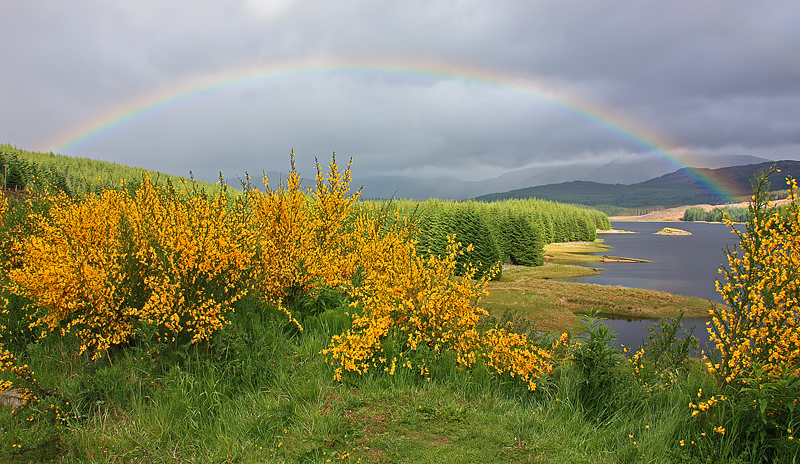 Loch Laggan Full Rainbow